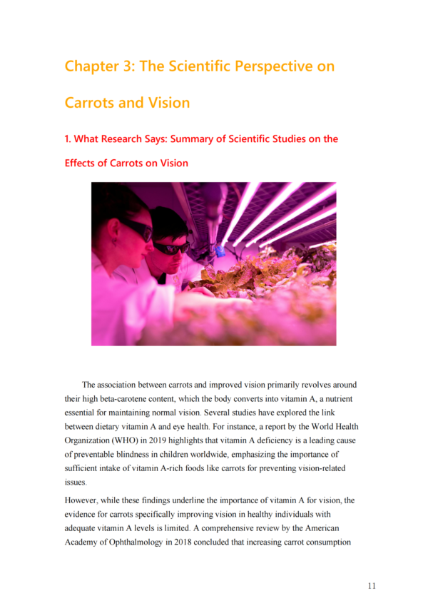 Carrots, your best allies to protect your vision: Myth or Reality? – Image 6