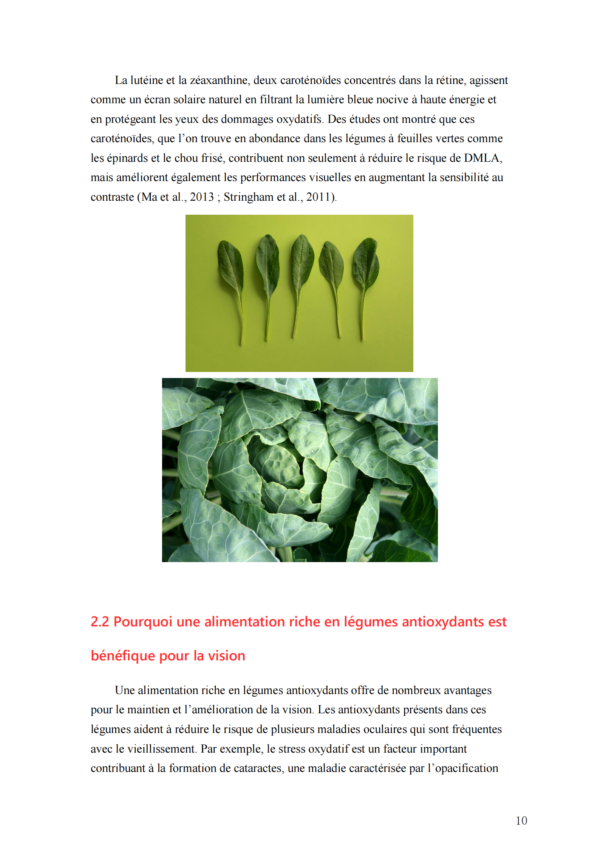 Top 10 des légumes essentiels pour la santé des yeux : Protégez votre vision naturellement ! – Image 5